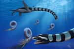 Deux individus de Traskasaura sandrae chassent l'ammonite Pachydiscus dans le Pacifique Nord au Crétacé supérieur. Traskasaura sandrae, nommé aujourd'hui dans le Journal of Systematic Paleontology, a été déclaré fossile provincial de la Colombie-Britannique en 2023. © Robert O. Clark